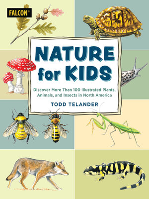 cover image of Nature for Kids